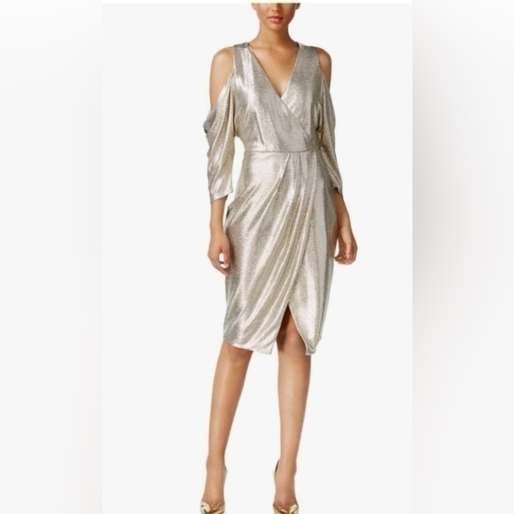 ✨ RACHEL Rachel Roy Women's Metallic Nour Dress 👗 Small worn 1x
